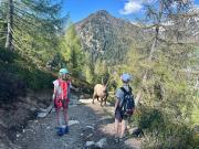 Top Vallorcine