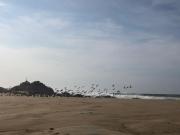 Top Tlachicón Top Tlachicón