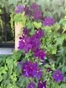 Top La Ferté-Imbault