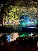Top Bentong