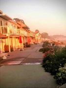 Top Aptos