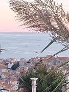 Top Dubrovnik