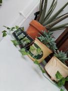 Patio & Sherry Apartamento