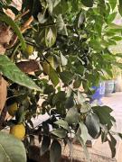 Top Saint-Victor-des-Oules