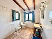 Top Paratella