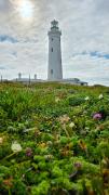 Top Cape St Francis