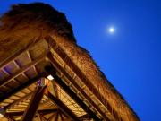 Bulan di Bali