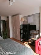 City pioneer Apartmens