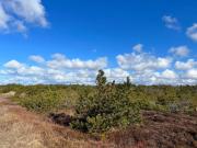 14 person holiday home in Ulfborg