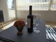 Top Temuco Top Temuco