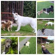 Top Baligród Top Baligród