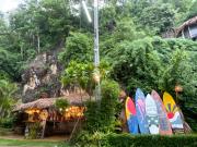 Top Surat Thani