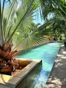 Wild Orchid proche mer