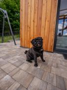 Top Piwniczna-Zdroj Top Piwniczna-Zdroj