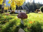 Penzión pod Dobákom