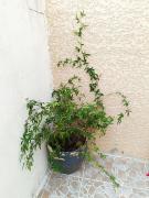 Top Saint-Christol-lès-Alès