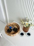 Spring365 appartament