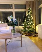 Big river view city apartment