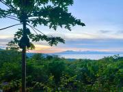 Novelyns Seaview Hideaway