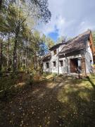 Leśny Relaks Leśny Relaks