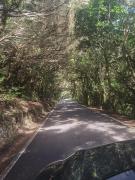 Top Santa Cruz de Tenerife