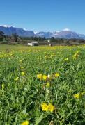 Top Tulbagh