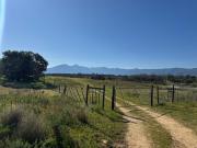 Top Tulbagh