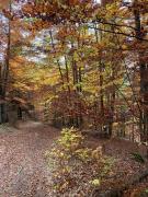 Top Saint-Léger-les-Mélèzes