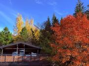 Lovely Cabin in the Capital Area with hot tube