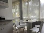 Cozy Apartment Hunedoara