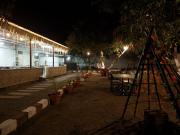 Top Sasan Gir