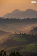 Top Ooty