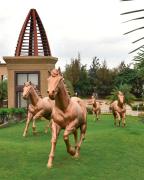 Top Pune