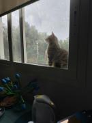 Top Scordia Top Scordia