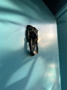 Top Punta Cana Top Punta Cana