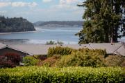 Top Oak Harbor