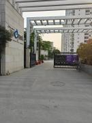 crezy location of Lucknow