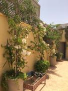 Top Marrakesz