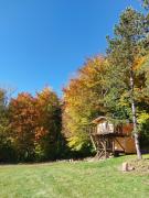 Treetop Tiny House Pod Korunami