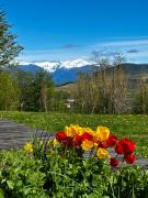 Top Coihaique Top Coihaique