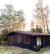 Cabañita del bosque