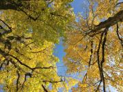 Ferienwohnung Theresia