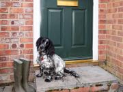 2 Bed in Mattishall 57133 2 Bed in Mattishall 57133