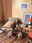 Magic Seaweed House Forever Offline