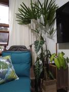 Campeche beach house