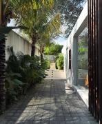 Top Canggu