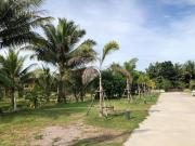 Top Thap Sakae