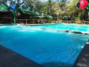 Top Laiya
