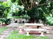Top Ban Thung Pong