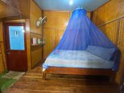 Top Trang